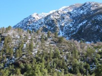 /album/fotogaleria/san-fabian-6-jpg/